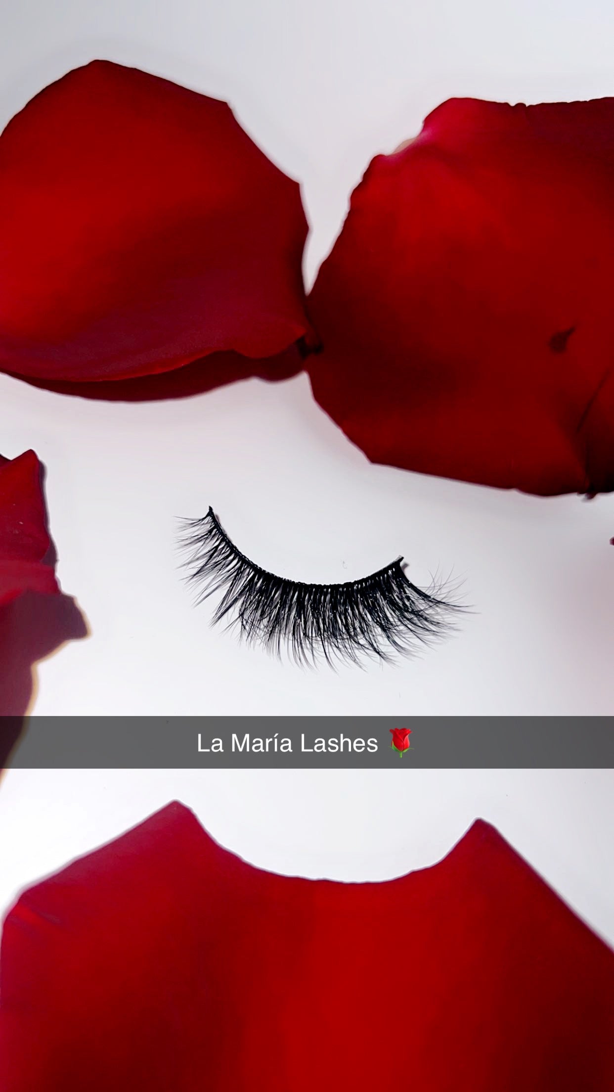 La María Lashes